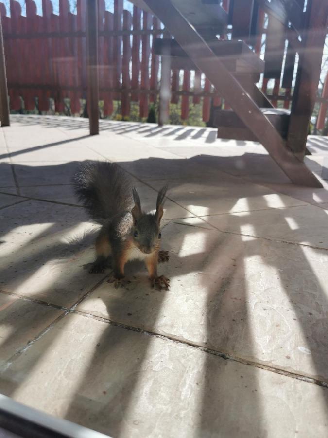 Sokristaly Vendeghaz Hotel Demjen Luaran gambar